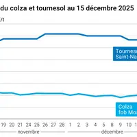 Graphique prix colza tournesol France au 15 décembre 2025