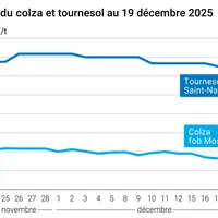 Graphique prix colza tournesol France au 19 décembre 2025