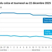 Graphique prix colza tournesol France au 22 décembre 2025