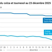 Graphique prix colza tournesol France au 23 décembre 2025