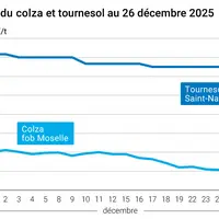 Graphique prix colza tournesol France au 26 décembre 2025