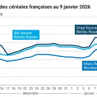 Graphique prix blé maïs orge France au 9 janvier 2026