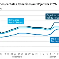 Graphique prix blé maïs orge France au 12 janvier 2026