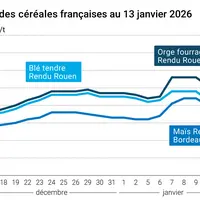 Graphique prix blé orge maïs France au 13 janvier 2026