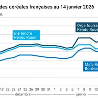 Graphique prix blé maïs orge France au 14 janvier 2026