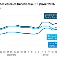 Graphique prix blé maïs orge France au 15 janvier 2026