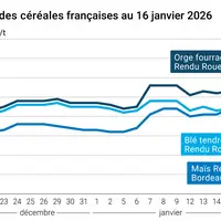 Graphique prix blé maïs orge France au 16 janvier 2026