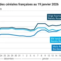 Graphique prix blé maïs orge France au 19 janvier 2026