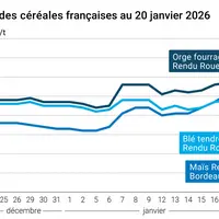 Graphique prix blé maïs orge France au 20 janvier 2026