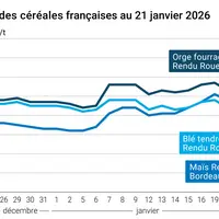 Graphique prix blé maïs orge France au 21 janvier 2026