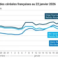 Graphique prix blé maïs orge France au 22 janvier 2026