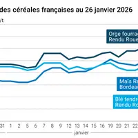 Graphique prix blé orge maïs France au 26 janvier 2026