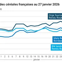 Graphique prix blé maïs orge France au 27 janvier 2026