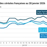 Graphique prix blé maïs orge France au 28 janvier 2026