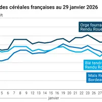 Graphique prix blé maïs orge France au 29 janvier 2026