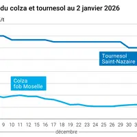 Graphique prix colza tournesol France au 2 janvier 2026