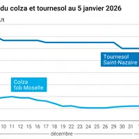 Prix du colza rendu Rouen et du tournesol rendu Saint Nazaire