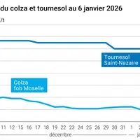 Prix du colza rendu Rouen et du tournesol rendu Saint Nazaire