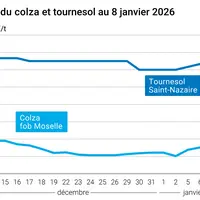 Prix du colza rendu Rouen et du tournesol rendu Saint Nazaire