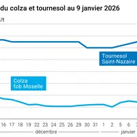 Graphique prix colza tournesol France au 9 janvier 2026