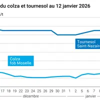 Graphique prix colza tournesol France au 12 janvier 2026