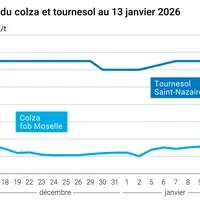 Graphique prix colza tournesol France au 13 janvier 2026