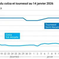 Graphique prix colza tournesol France au 14 janvier 2026