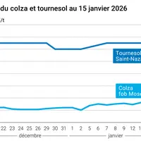 Graphique prix colza tournesol France au 15 janvier 2026