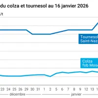 Graphique prix colza tournesol France au 16 janvier 2026