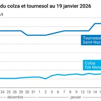 Graphique prix colza tournesol France au 19 janvier 2026