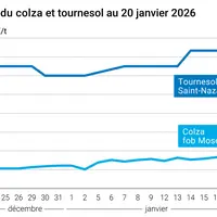 Graphique prix colza tournesol France au 20 janvier 2026