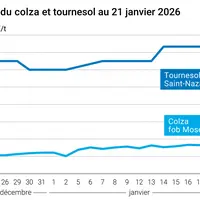 Graphique prix colza tournesol France au 21 janvier 2026