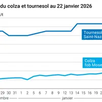 Graphique prix colza tournesol France au 22 janvier 2026
