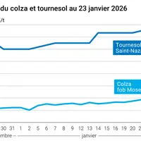 Graphique prix colza tournesol France au 23 janvier 2026