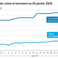 Graphique prix colza tournesol France au 26 janvier 2026