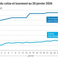 Graphique prix colza tournesol France au 28 janvier 2026