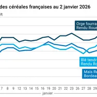 Graphique prix blé orge maïs France au 2 février 2026