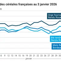 Graphique prix blé maïs orge France au 3 février 2026