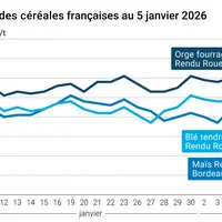 Graphique prix blé maïs orge France au 5 février 2026