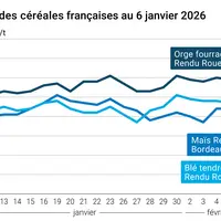 Graphique prix blé maïs orge France au 6 février 2026