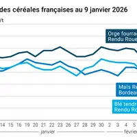 Graphique prix blé orge maïs France au 9 février 2026