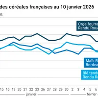 Graphique prix blé maïs orge France au 10 février 2026
