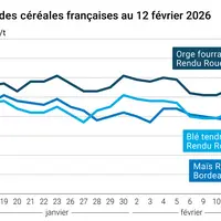 Graphique prix blé maïs orge France au 12 février 2026