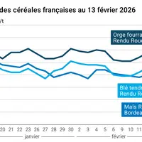 Graphique prix blé maïs orge France au 13 février 2026