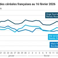 Graphique prix blé maïs orge France au 16 février 2026