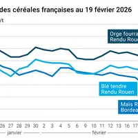 Graphique prix blé maïs orge France au 19 février 2026