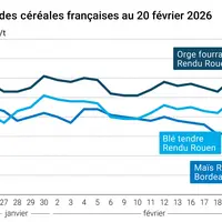 Graphique prix blé maïs orge France au 20 février 2026