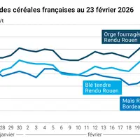 Graphique prix blé maïs orge France au 23 février 2026