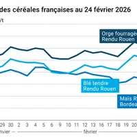 Graphique prix blé maïs orge France au 24 février 2026