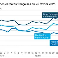 Graphique prix blé maïs orge France au 25 février 2026